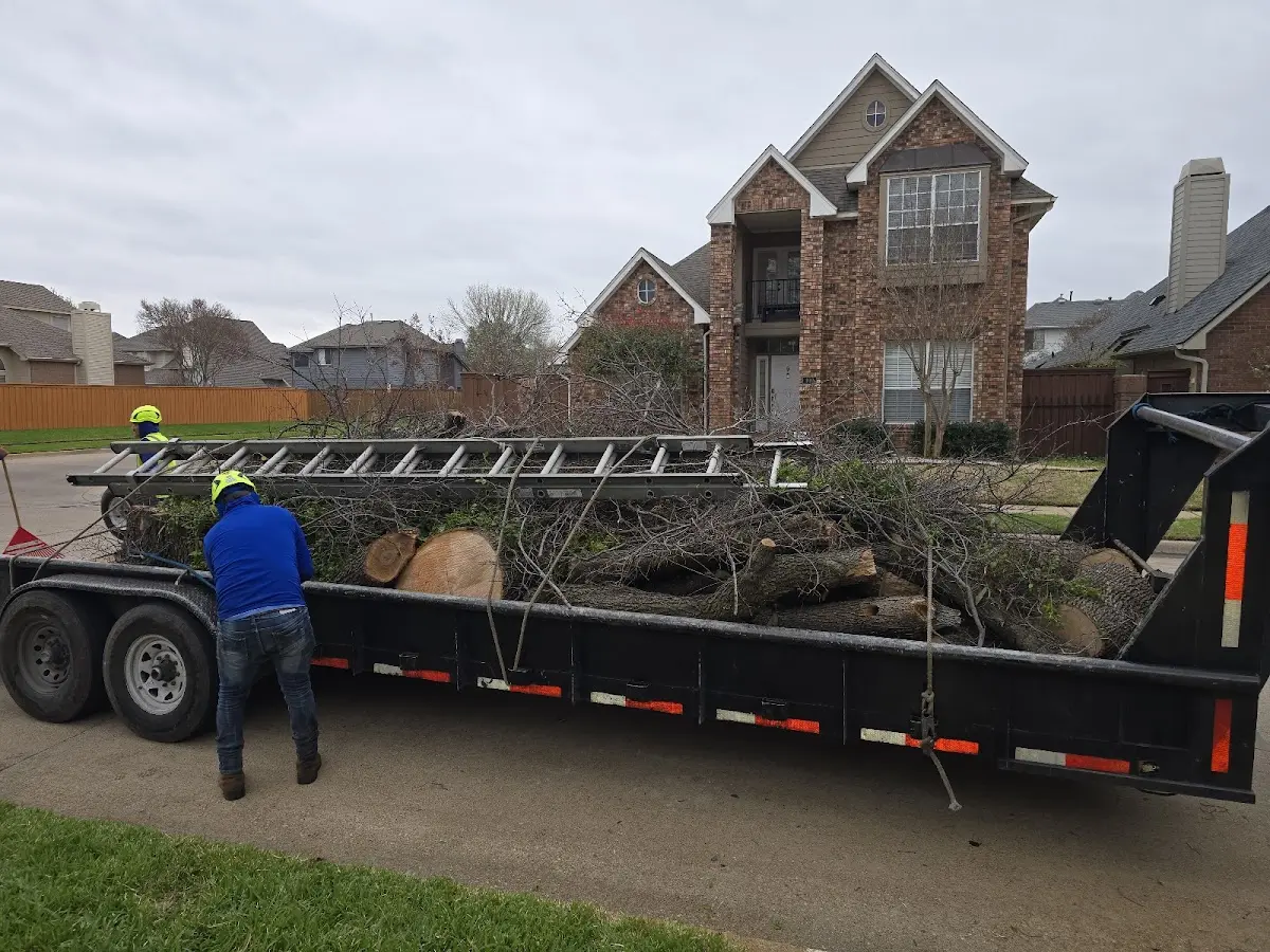 Expert Tree Pest Control with proper safety equipment in Amoret